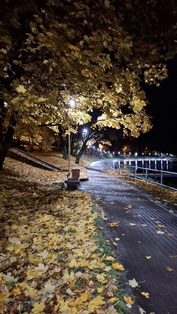 Photograph by Ирина