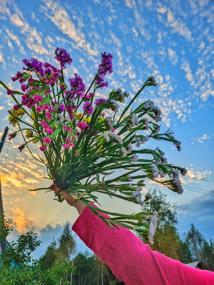 Фотография автора Татьяна Гореленкова