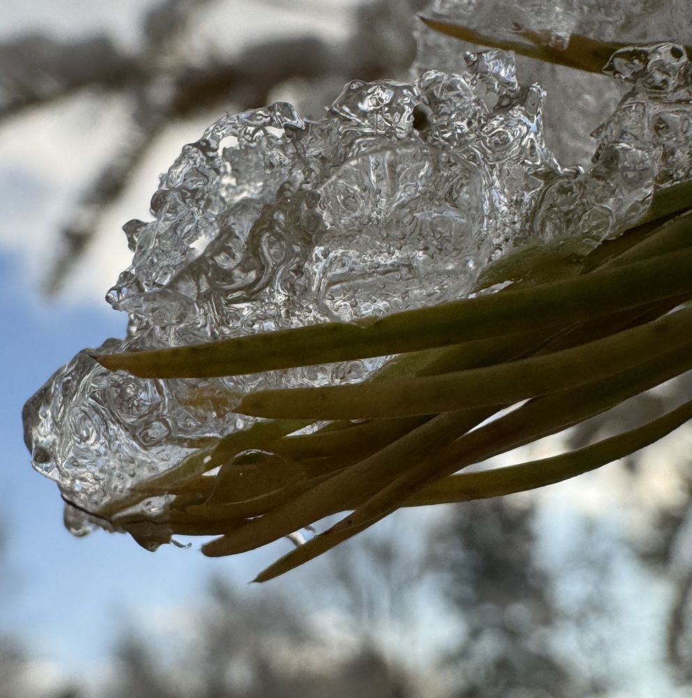 Фотография автора Галина Санчирова