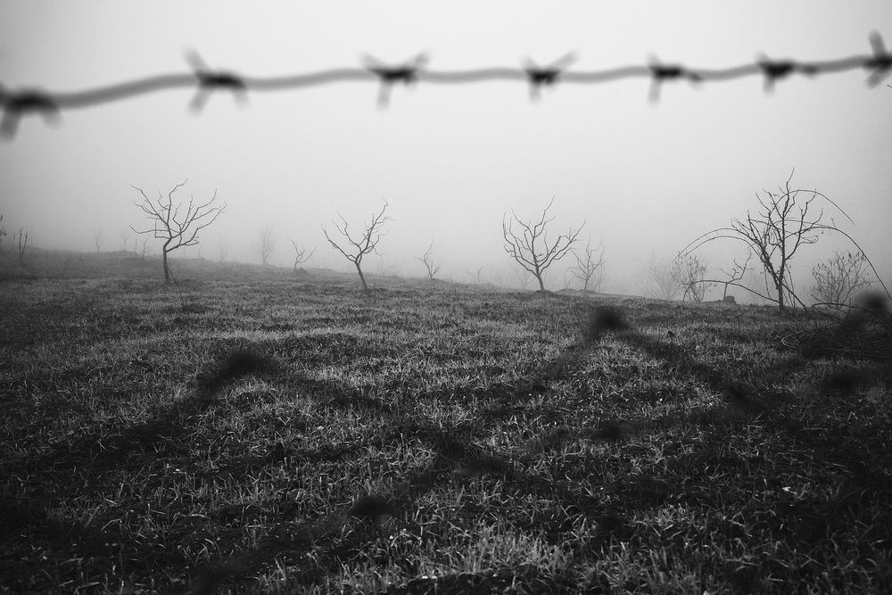 Photograph by Елена Покрепа