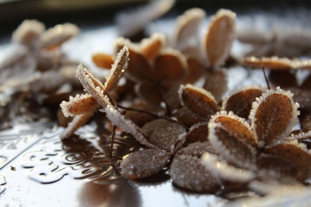 Фотография автора Юлия