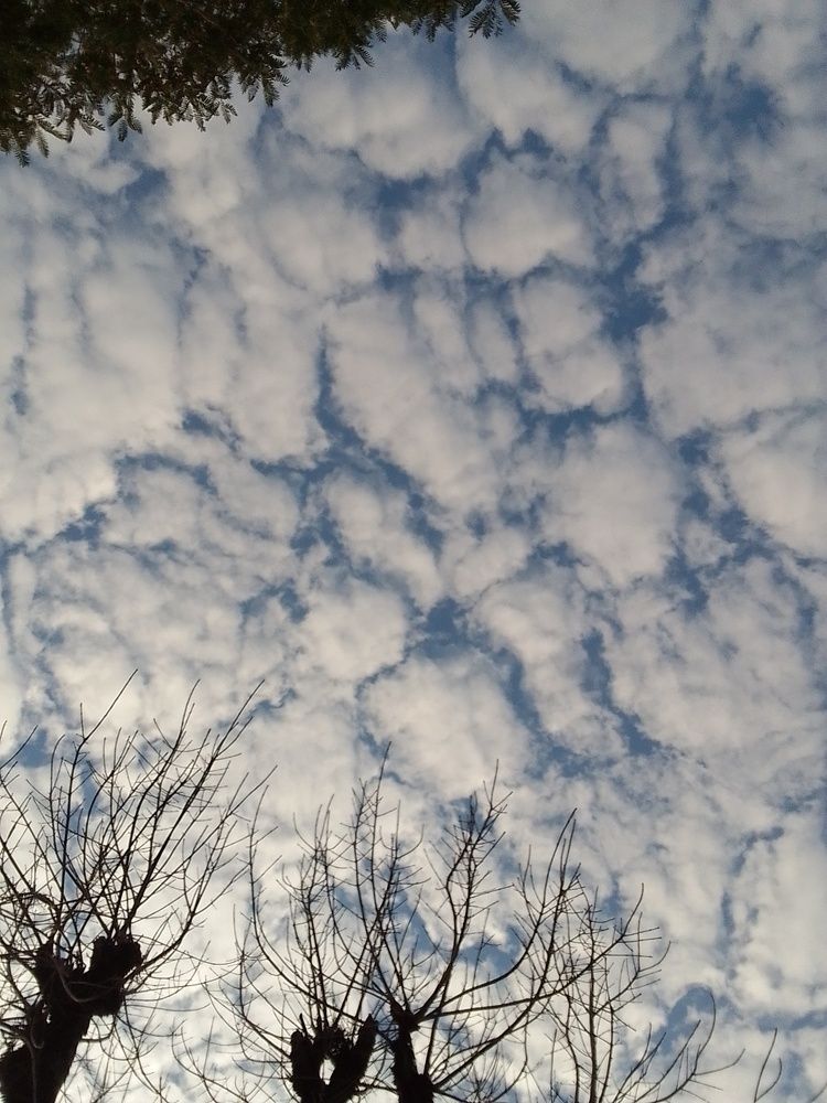 Photograph by Florencia Lovatto