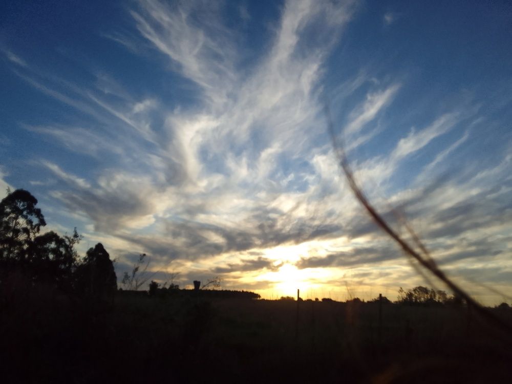 Photograph by Florencia Lovatto
