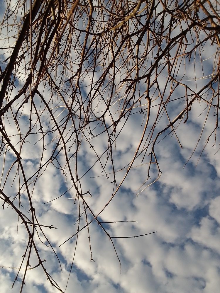 Photograph by Florencia Lovatto