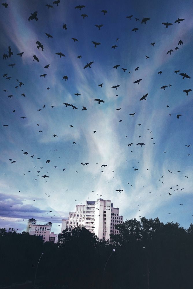 Photograph by Анастасия Бородулина