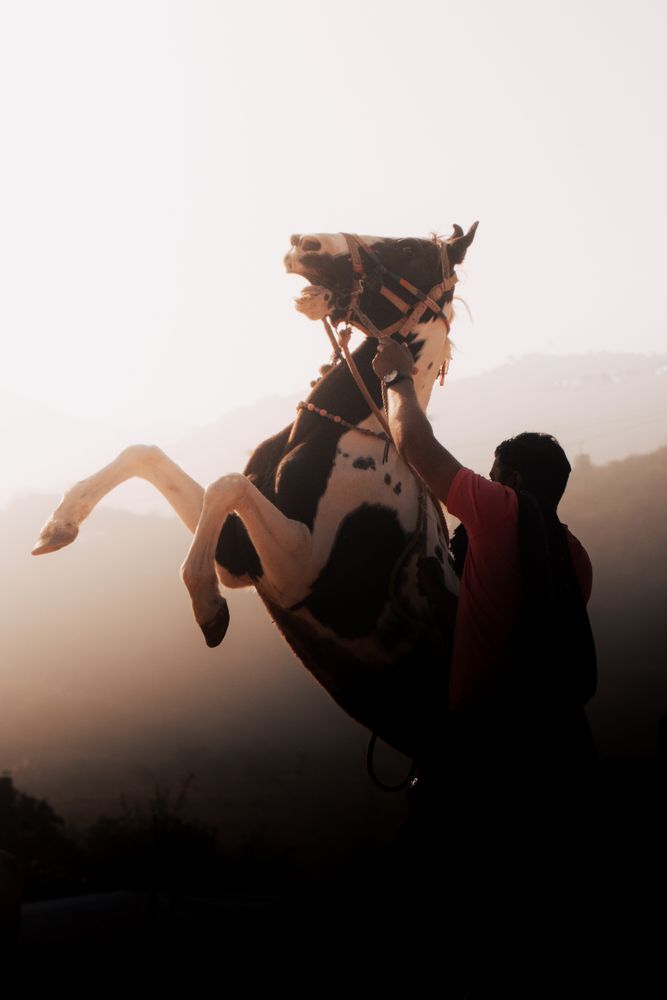 Photograph by Saksham Gupta