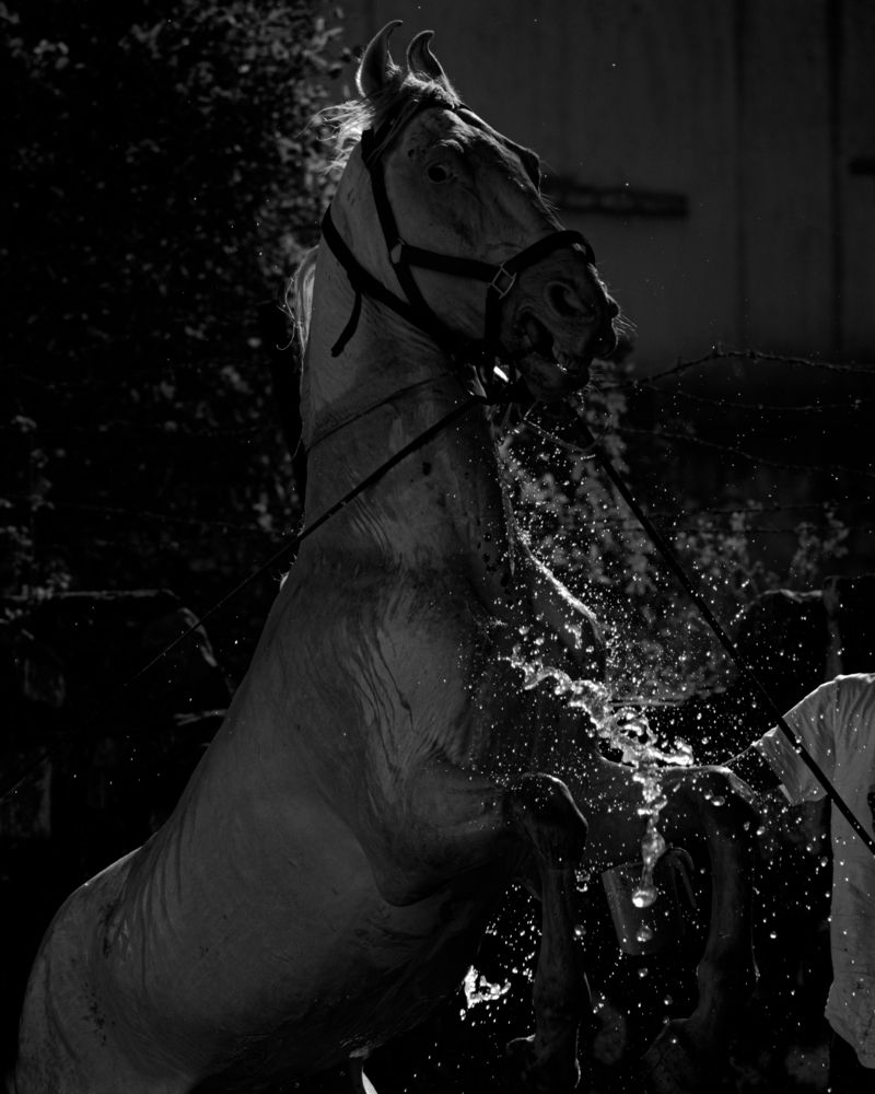 Photograph by Saksham Gupta