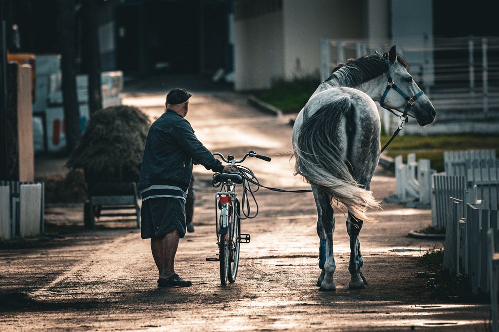 Photograph by Щепанов Дмитрий