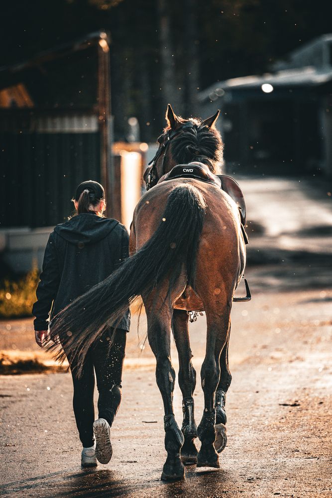 Photograph by Щепанов Дмитрий