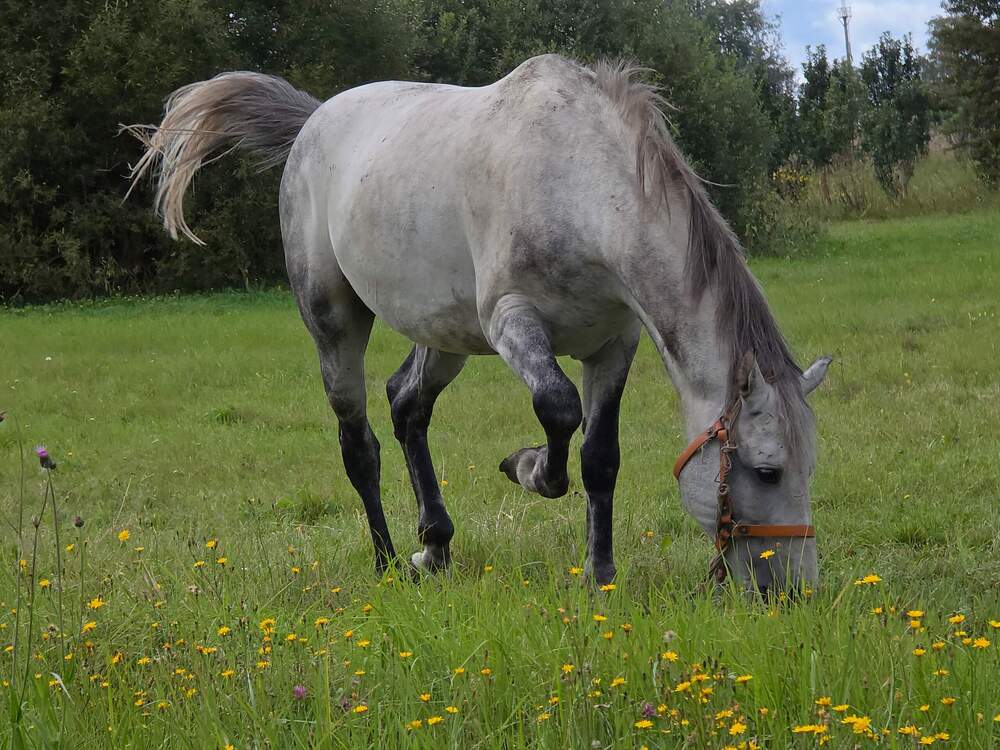 Photograph by Куделенко Оксана