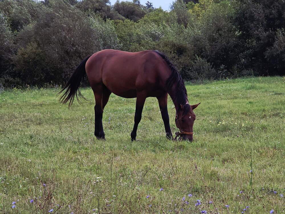 Photograph by Куделенко Оксана