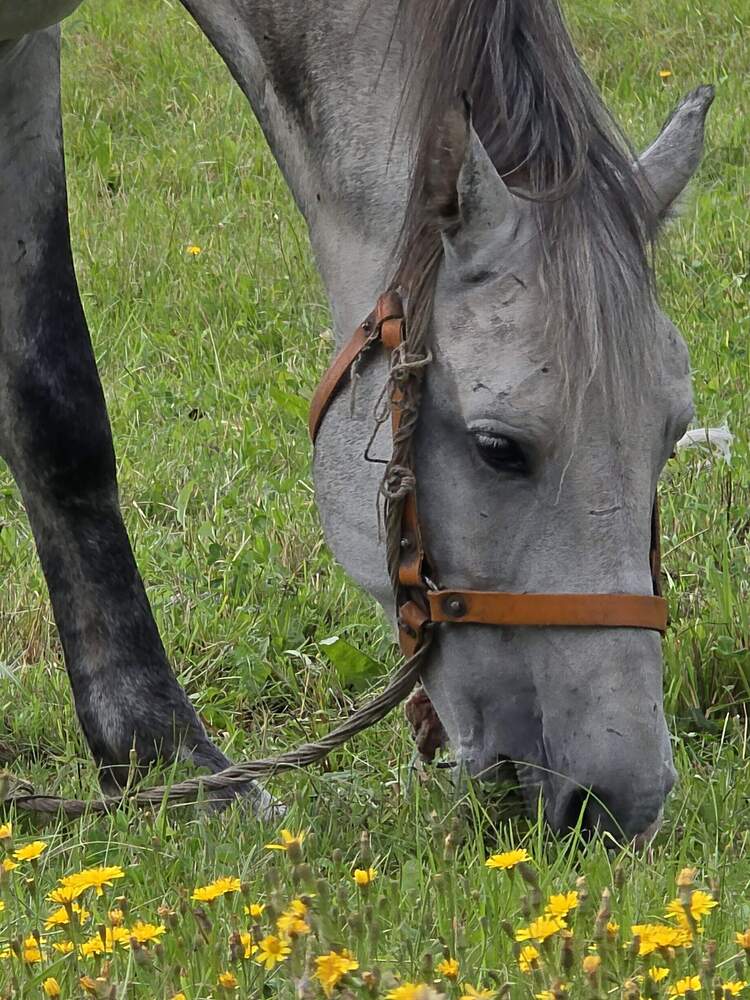 Photograph by Куделенко Оксана