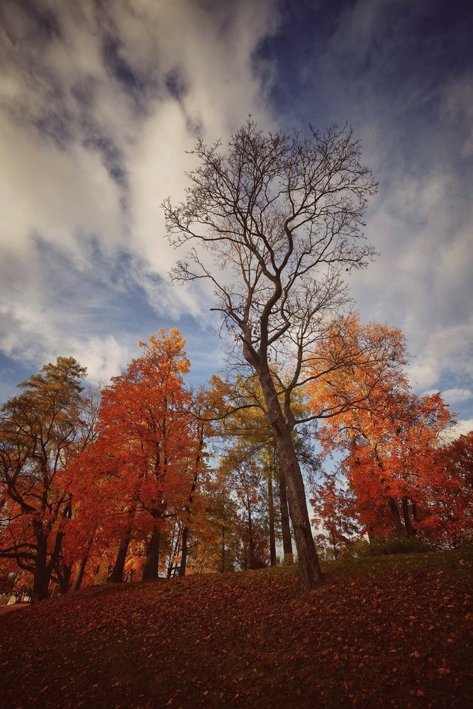 Photograph by Микрокосмос Владимир