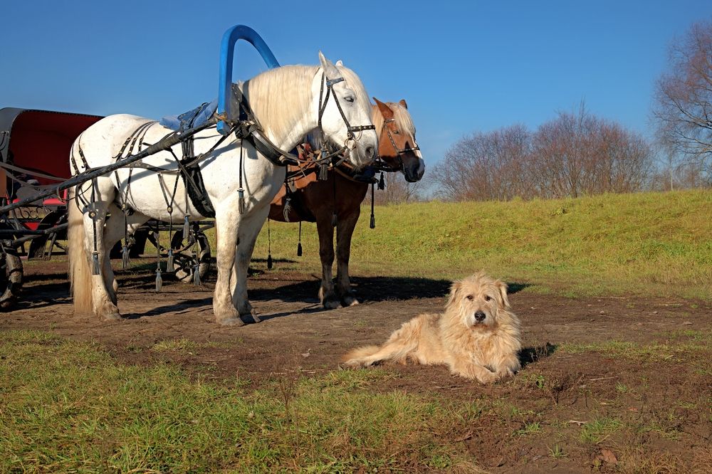 Photograph by Борис Чернов