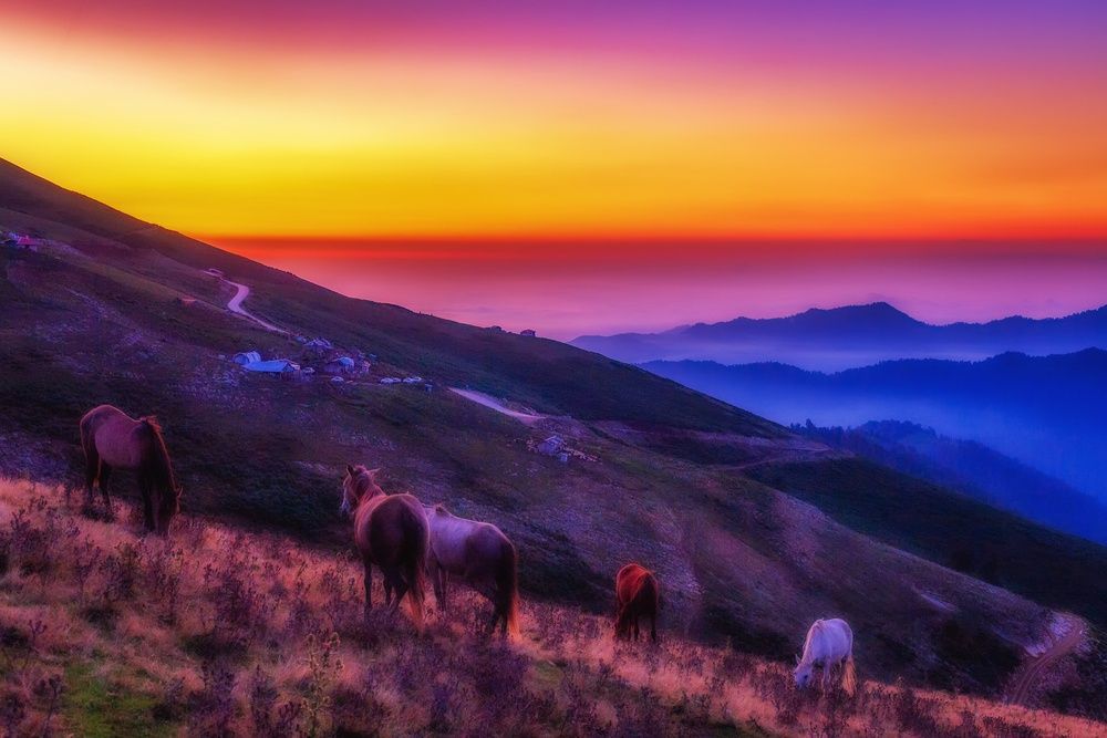 Photograph by Hamid espanani