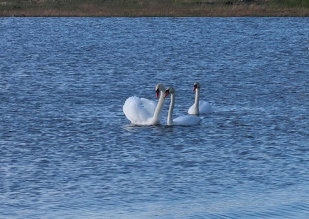 Photograph by Нина