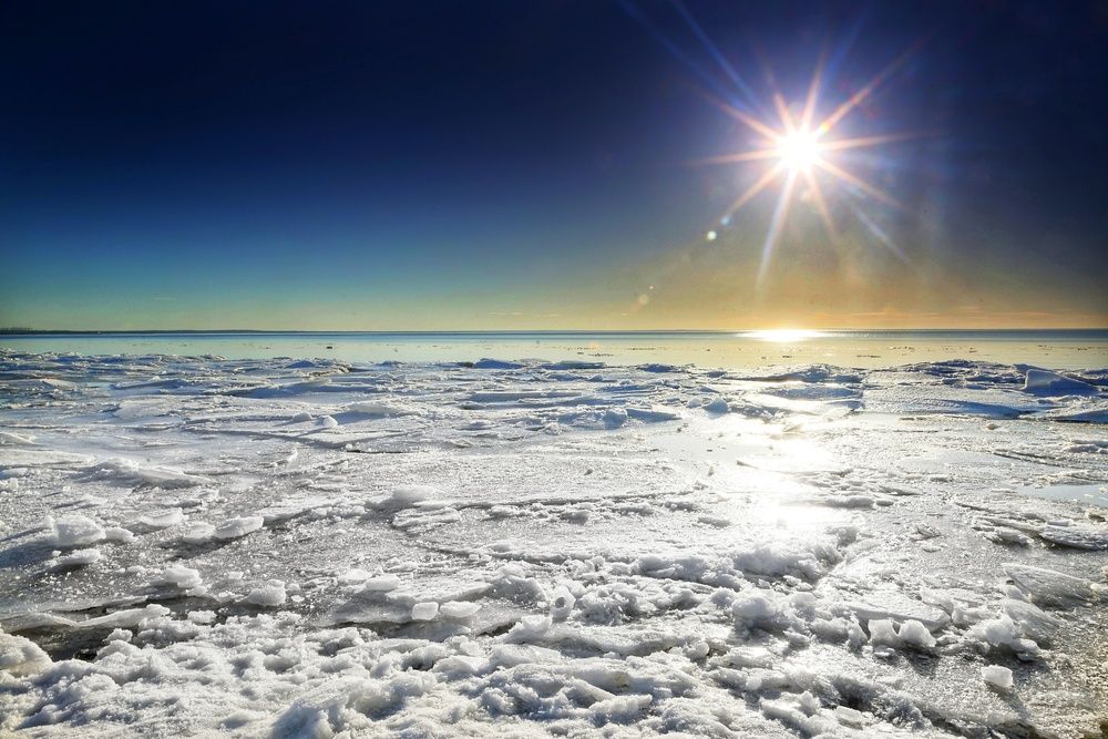 Photograph by Микрокосмос Владимир