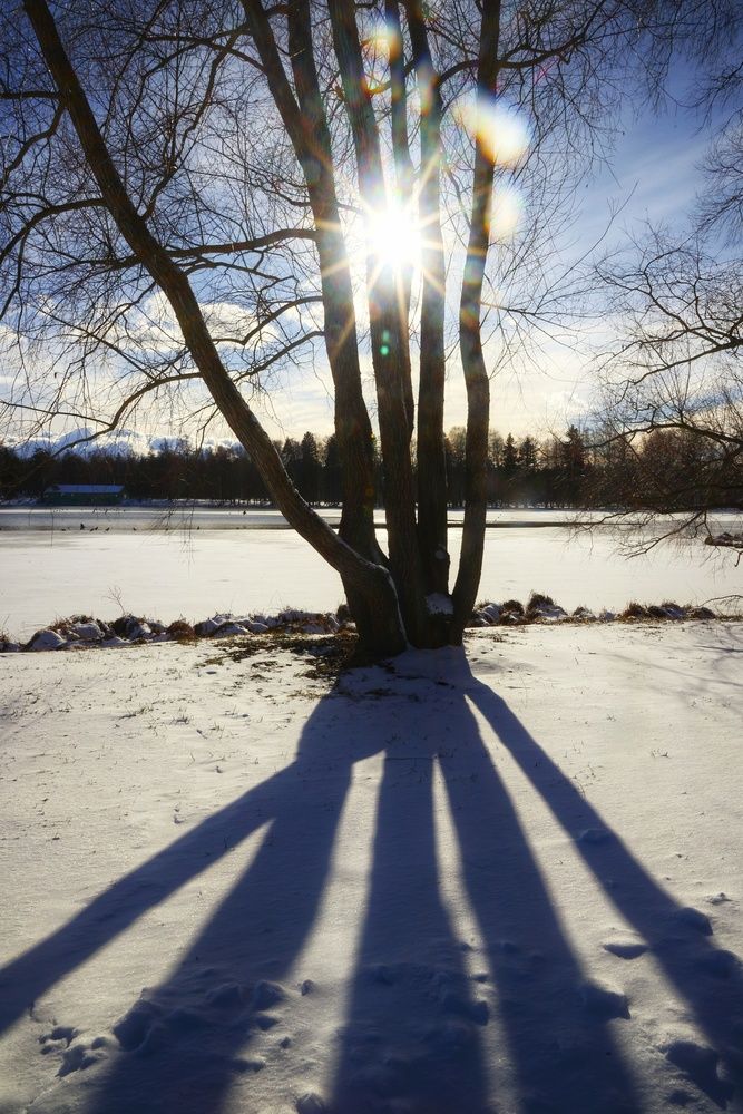 Photograph by Микрокосмос Владимир