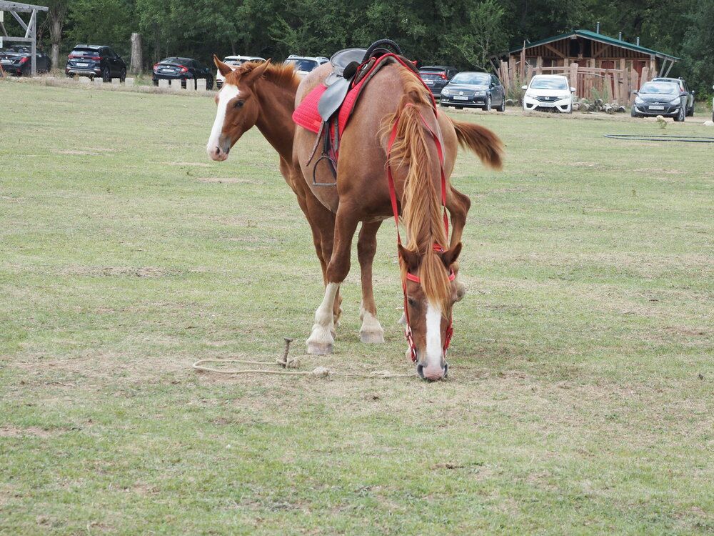 Photograph by Сергей Борисов