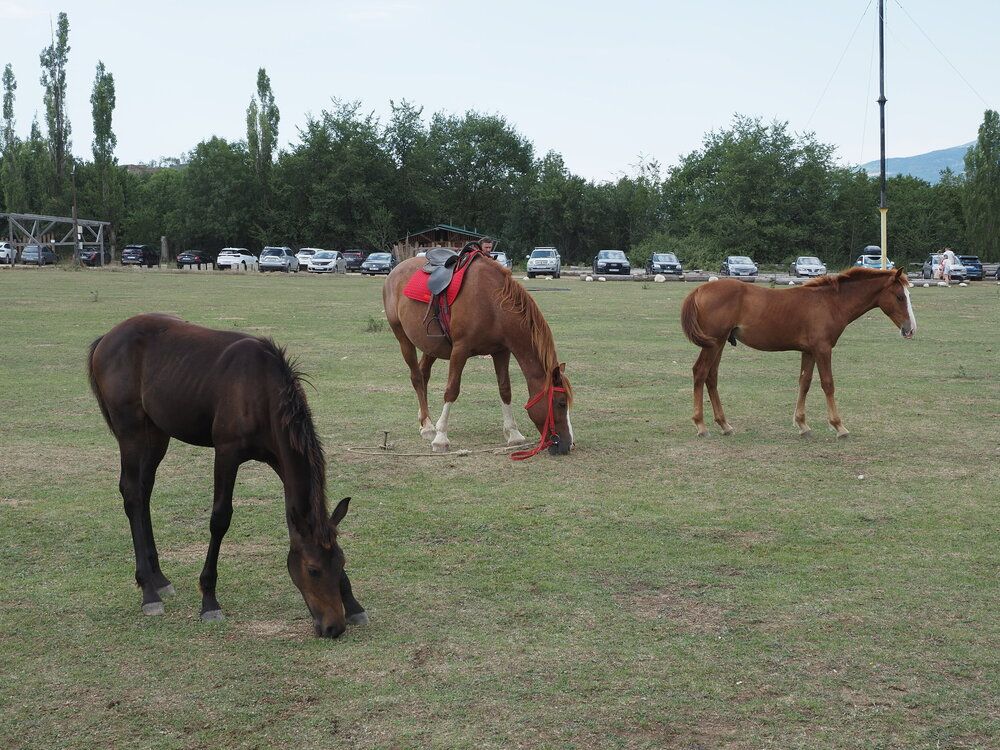 Photograph by Сергей Борисов