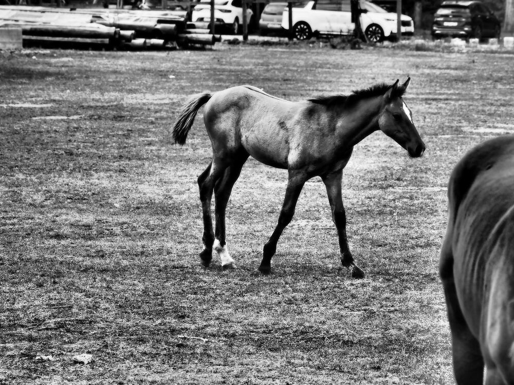 Photograph by Сергей Борисов