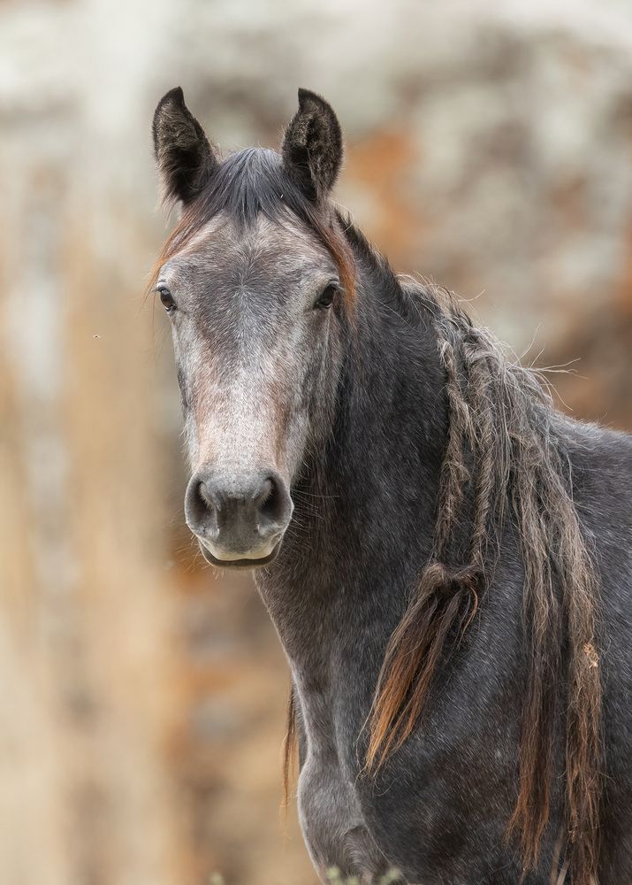 Photograph by Ekaterina Romanova