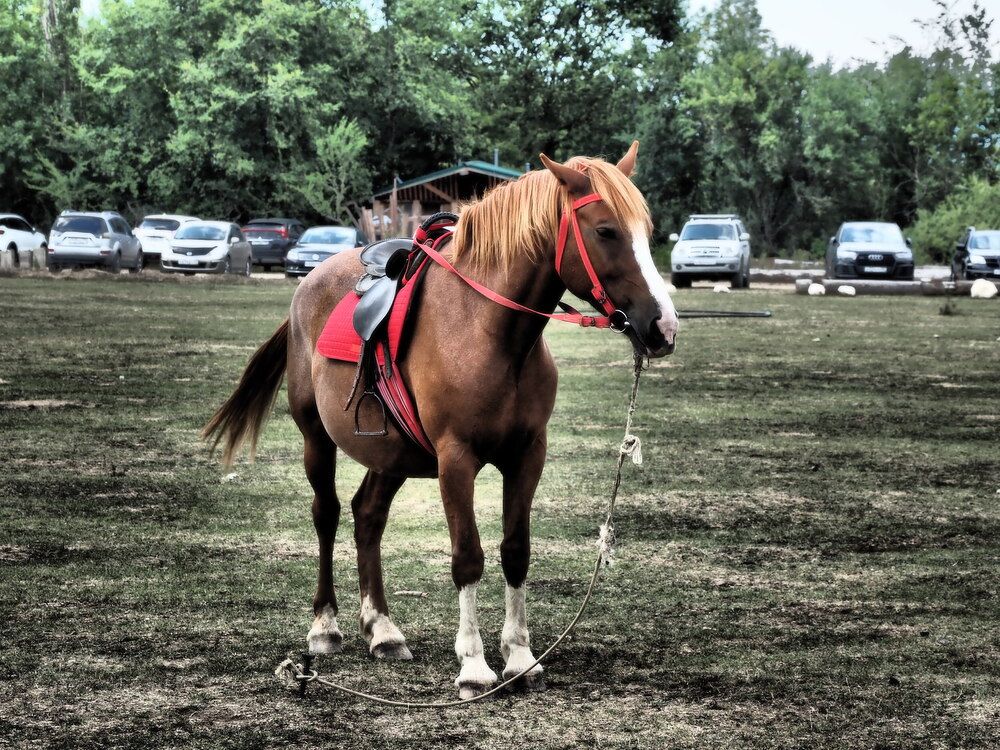 Photograph by Сергей Борисов