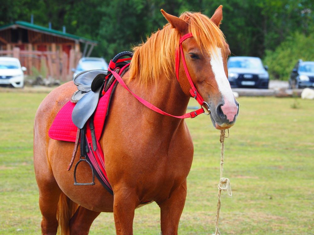 Photograph by Сергей Борисов