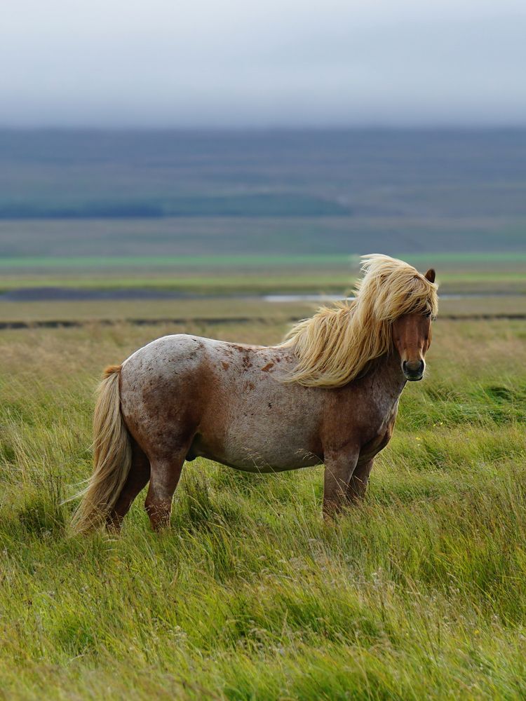 Photograph by Игорь Семеновский