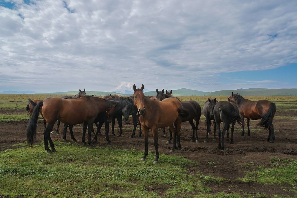 Photograph by Игорь Семеновский
