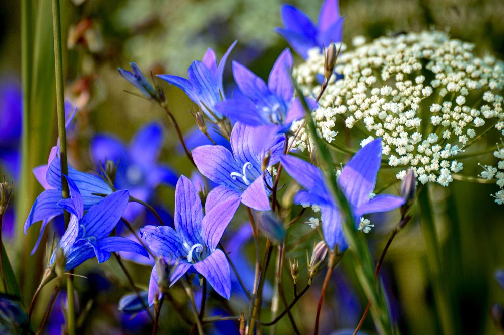 Photograph by Екатерина Казарцева