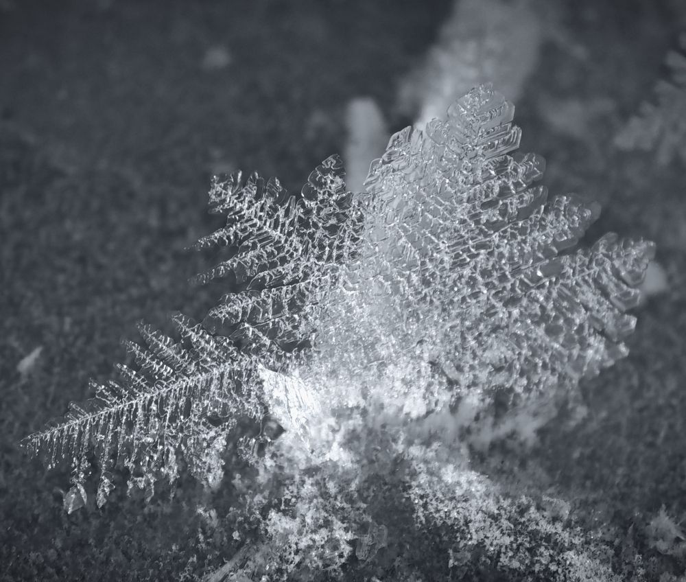 Photograph by Надежда Кангина