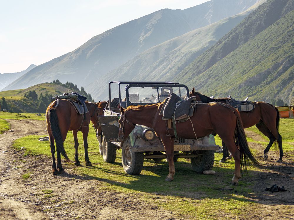 Photograph by Иван Труфанов