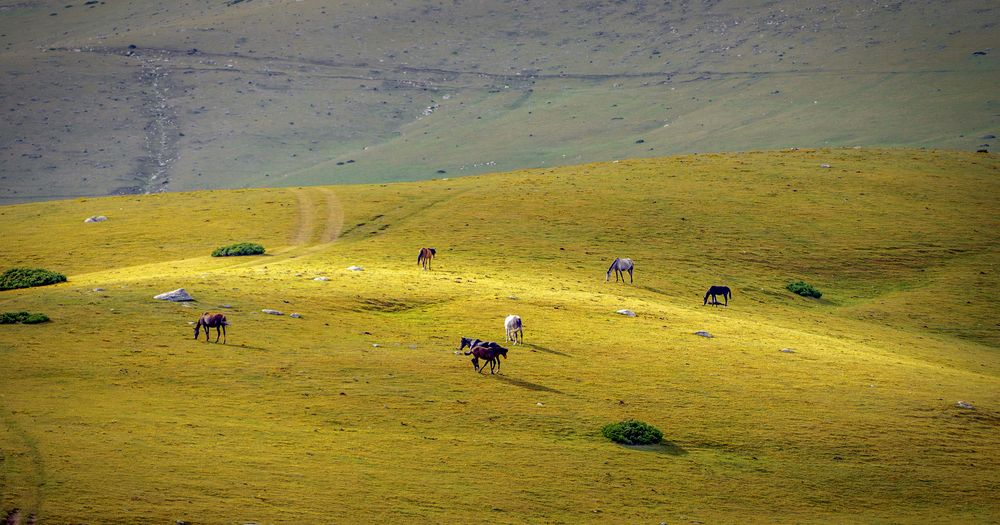 Photograph by Иван Труфанов