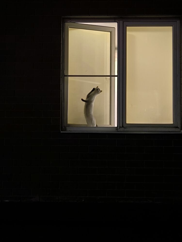 Photograph by Кристина