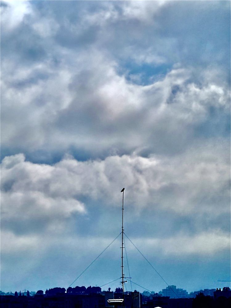 Фотография автора Алла Киселева