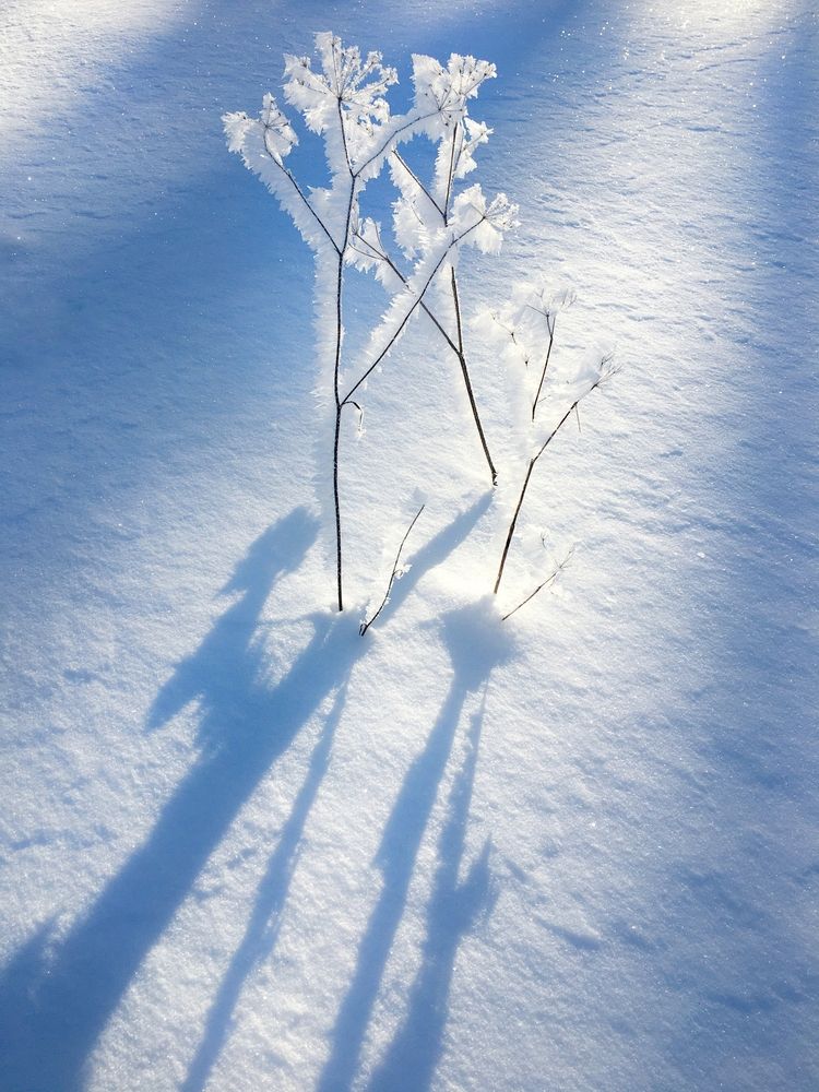 Photograph by Ионова Татьяна