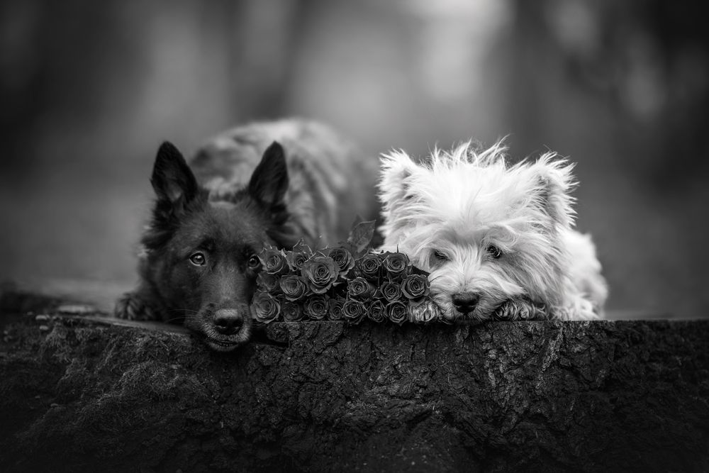Photograph by Lucie Nermuťová