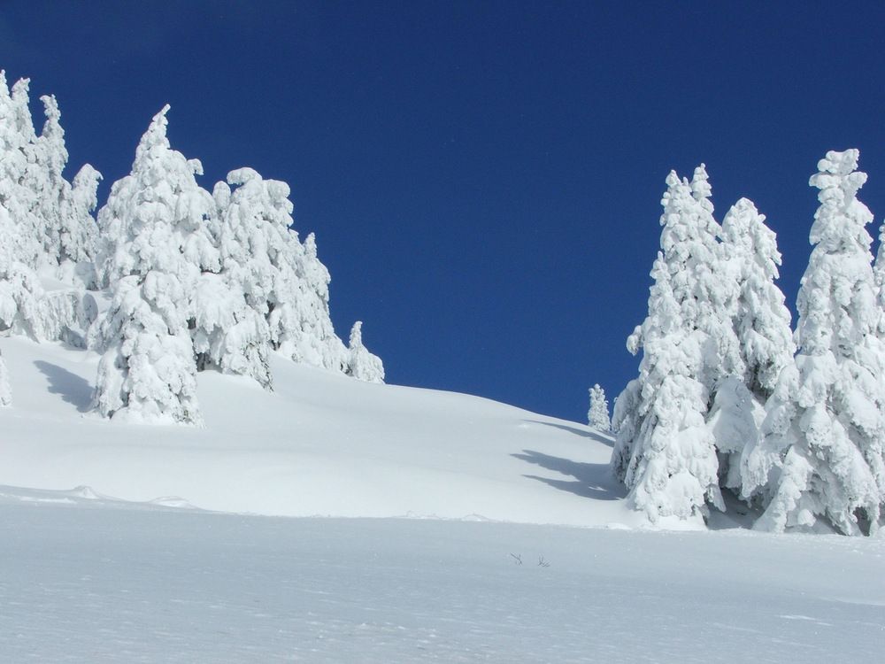 Photograph by Cengiz Yalcin