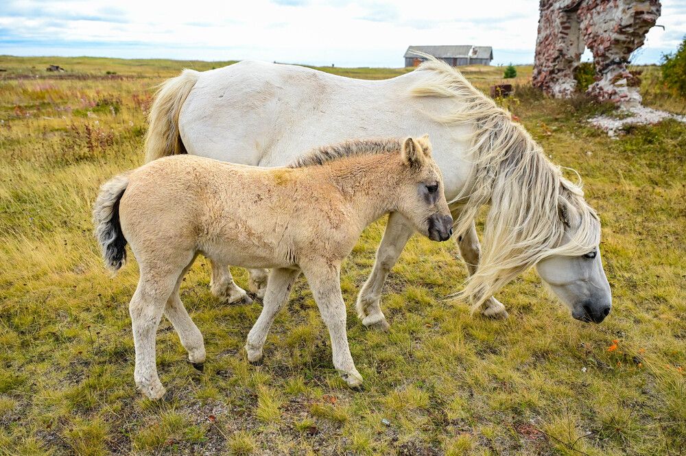 Фотография автора Tanzilya Gabidullina