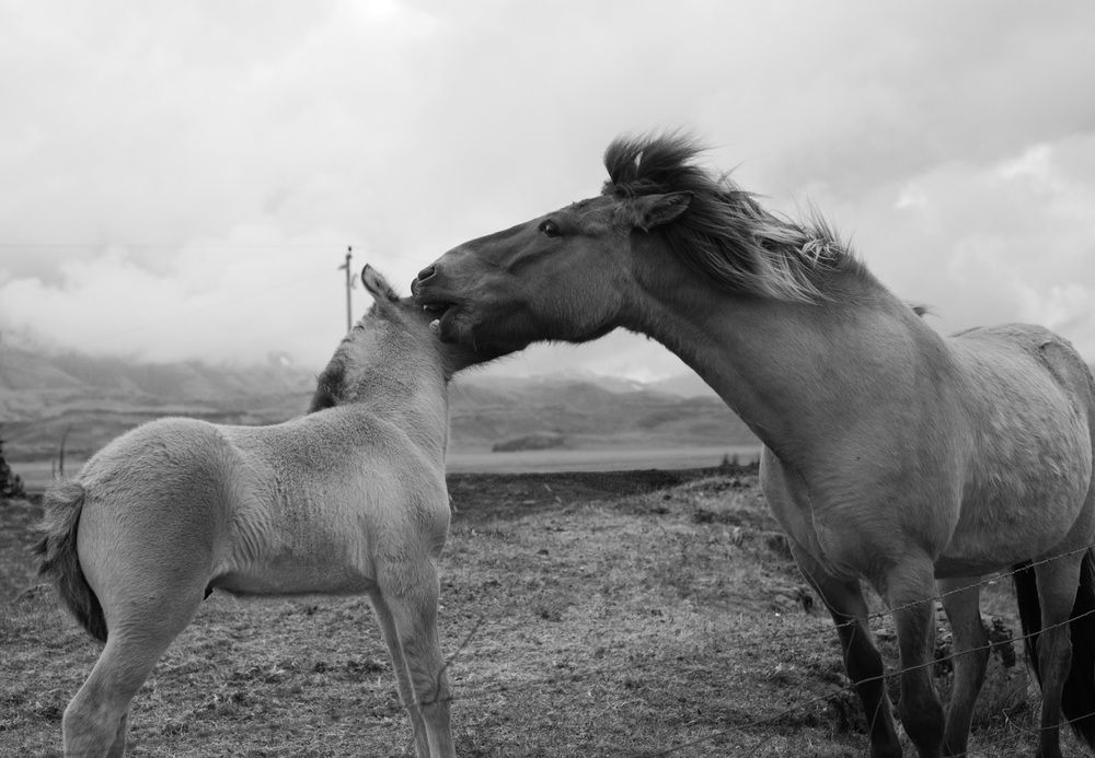 Фотография автора Алексей Поляков