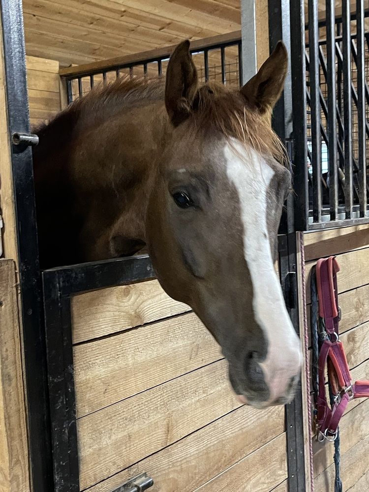 Photograph by Светлана Смук