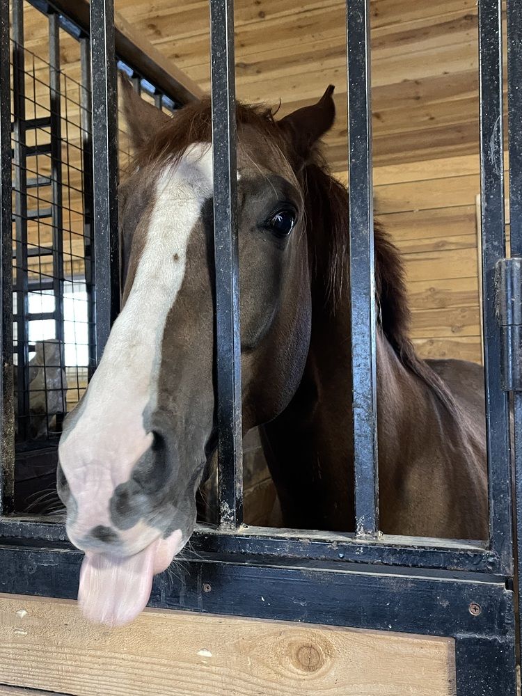 Photograph by Светлана Смук