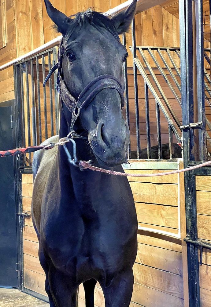 Photograph by Светлана Смук