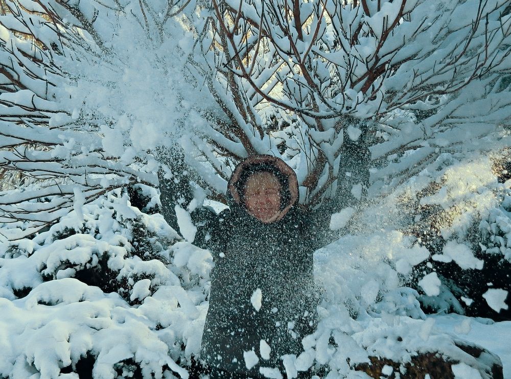 Photograph by Фартушняк Сергей