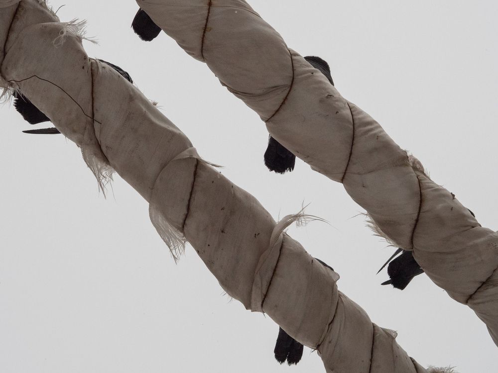 Photograph by Роберт Шестеркин