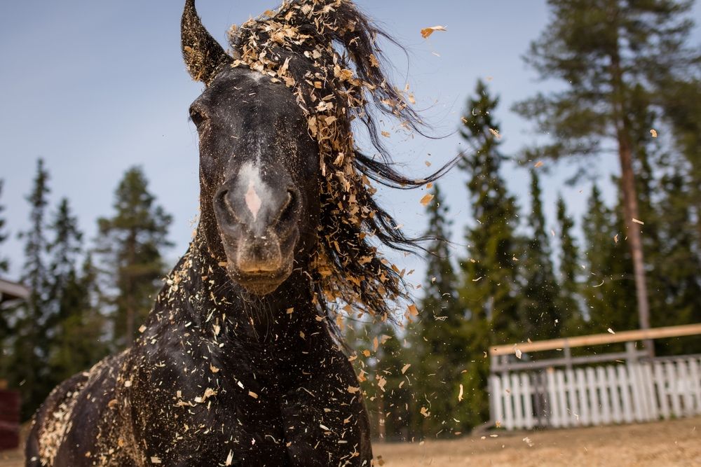 Фотография автора Яна Кульбацкая