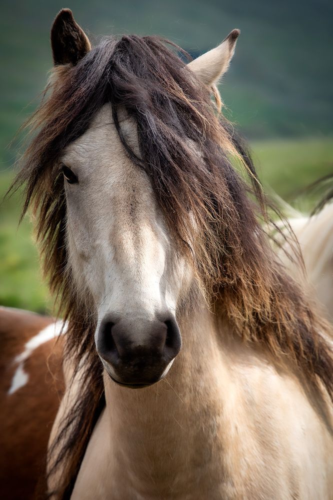 Photograph by Vladimir Ostapenko