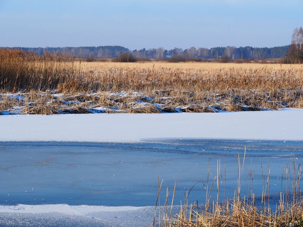 Photograph by Александр Ярмущик