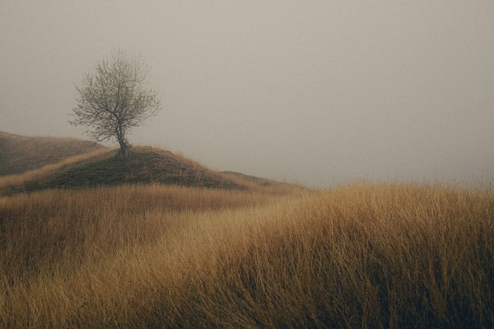 Фотография автора Олег Сухенко